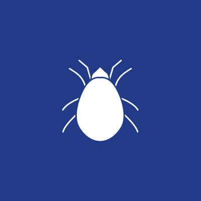 Pattar Insect PATTLER® – Wirksame Lösungen gegen Marder, Motten & Co.