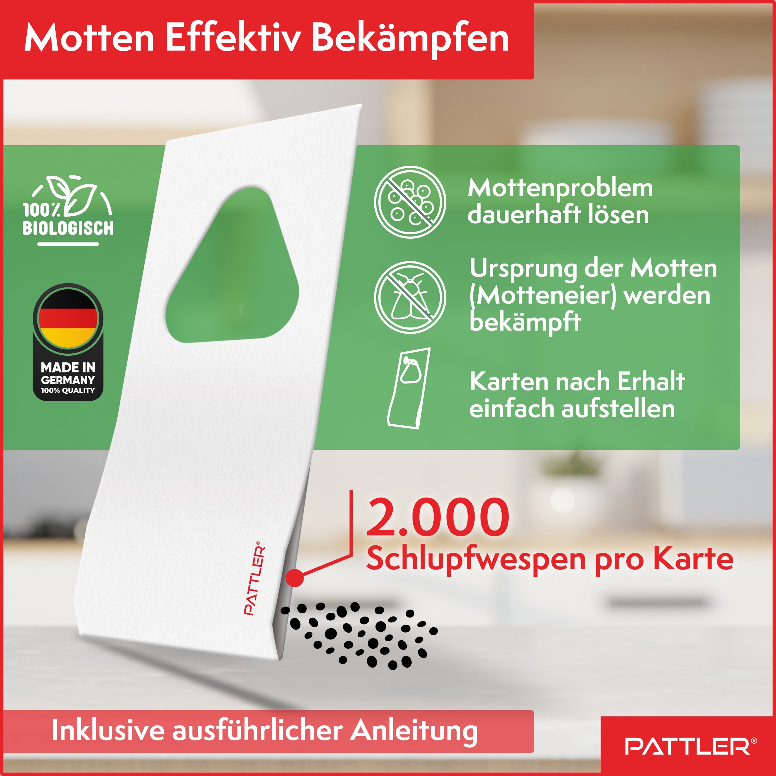 Schlupfwespen gegen Lebensmittelmotten
