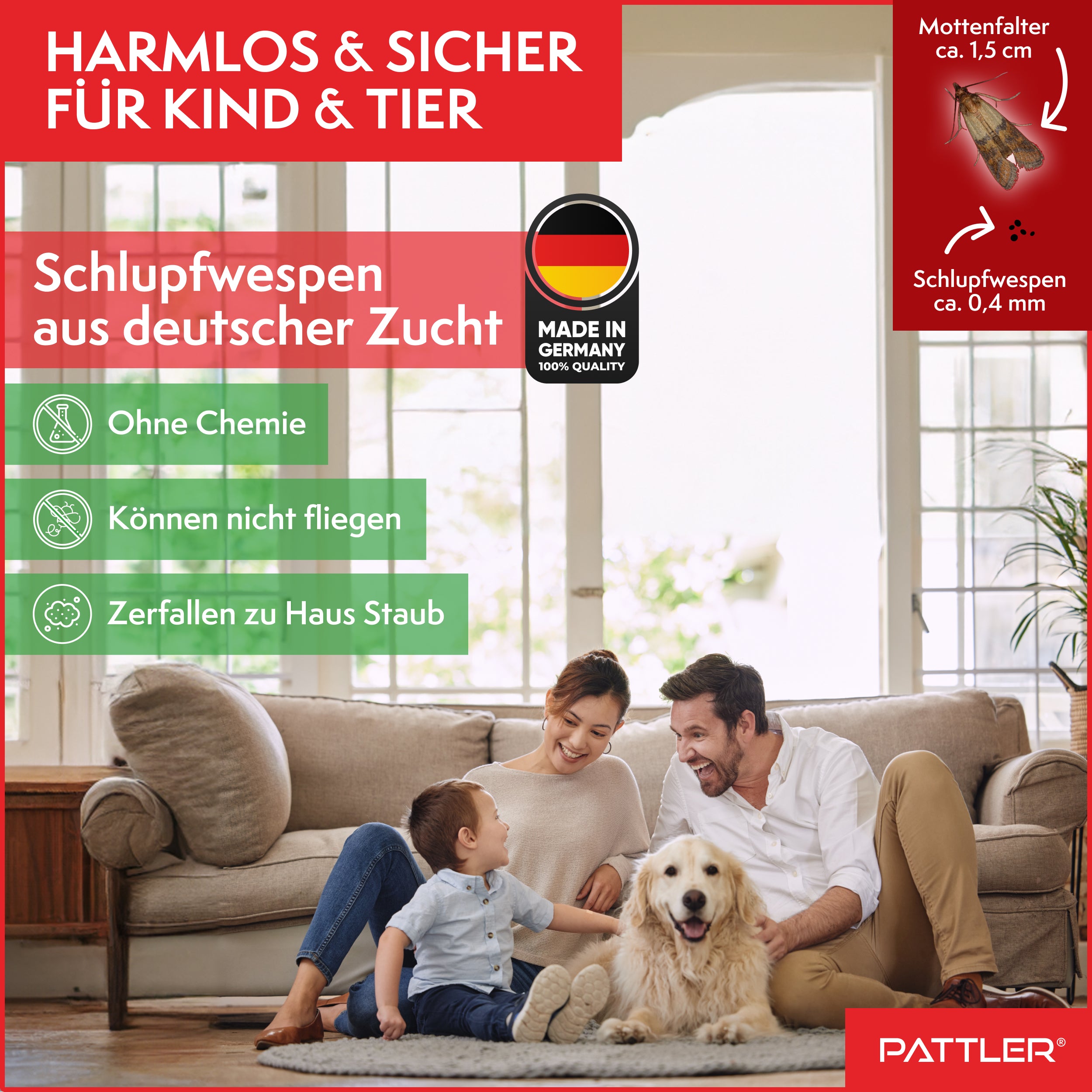 Schlupfwespen gegen Lebensmittelmotten